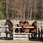 Na Wysokiej Gorce- Дом отдыха *