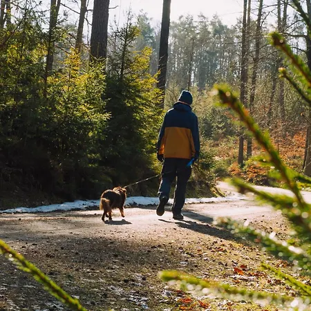 Na Wysokiej Gorce- Grabowiec (Wejherowo, Pomerania)