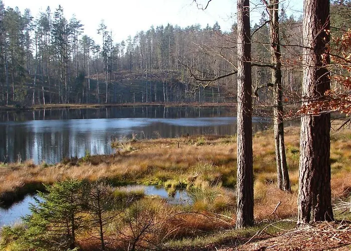 Dom wakacyjny Na Wysokiej Górce- *
